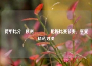 荷甲比分⚽预测👍把握比赛节奏，享受精彩对决