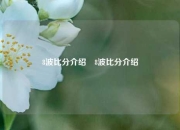 8波比分介绍⚾8波比分介绍