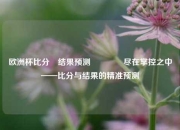 欧洲杯比分⚽结果预测🌈尽在掌控之中——比分与结果的精准预测