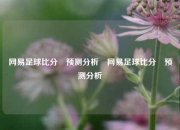 网易足球比分⚽预测分析⚾网易足球比分⚽预测分析