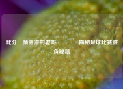 比分⚽预测准的老哥🏅揭秘足球比赛胜负秘籍