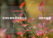 足球比赛如何预测比分⚽🏀分析和策略