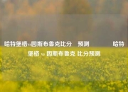 哈特堡格vs因斯布鲁克比分⚽预测🌈哈特堡格 vs 因斯布鲁克 比分预测