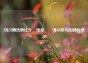 切尔西热刺比分⚽预测✌️切尔西与热刺的对决