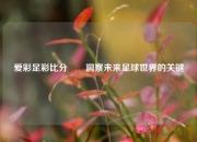 爱彩足彩比分✌️洞察未来足球世界的关键