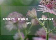 亚洲杯比分⚽中国预测🥎中国队的未来走向