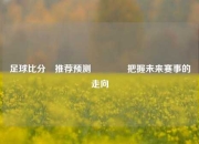 足球比分⚽推荐预测👍把握未来赛事的走向