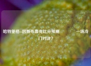 哈特堡格vs因斯布鲁克比分预测🥈一场冷门对决？