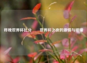 昨晚世界杯比分✌️世界杯之夜的激情与碰撞