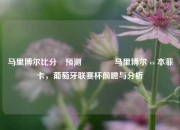 马里博尔比分⚽预测👈马里博尔 vs 本菲卡，葡萄牙联赛杯前瞻与分析