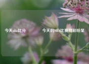 今天nba比分🥎今天的NBA比赛精彩纷呈