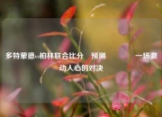 多特蒙德vs柏林联合比分⚽预测👍一场激动人心的对决