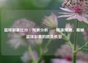 篮球彩票比分⚽预测分析✌️精准预测，揭秘篮球彩票的胜负机密