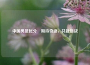 中国男篮比分⚽期待奇迹，共赴挑战
