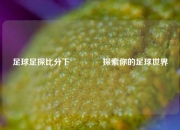 足球足探比分下🏆探索你的足球世界