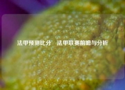 法甲预测比分⚽法甲联赛前瞻与分析