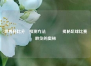 世界杯比分⚽预测方法👍揭秘足球比赛胜负的奥秘