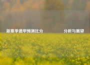 新赛季德甲预测比分🎖️分析与展望
