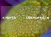 篮球比分实时🥇实时篮球比分追踪系统