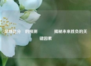 足球比分⚽的预测🏐揭秘未来胜负的关键因素