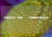 丹麦杯比分⚽预测✌️一场精彩纷呈的对决