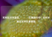 实时比分水晶宫🥉比赛进行中！实时水晶宫足球比赛更新