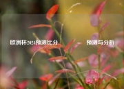 欧洲杯2024预测比分⚽🥇预测与分析