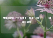 雪缘园足彩比分直播上一期下一期🏐回顾与展望