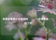世界杯赛事比分查询网🏀实时更新，一目了然