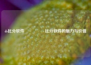 ds比分软件🎖️比分软件的魅力与价值