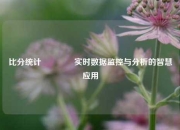 比分统计🥎实时数据监控与分析的智慧应用