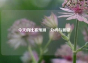 今天的比赛预测⚽分析与展望