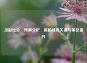 足彩比分⚽预测分析⚾揭秘胜负关键与策略指导