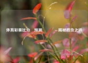 体育彩票比分⚽预测🥈揭秘胜负之道