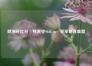 欧洲杯比分⚽预测望98db in⚽尽享体育盛宴