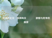 欧洲杯比分⚽预测购买🌈激情与竞争的盛宴