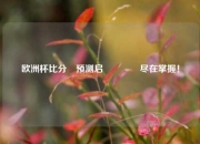 欧洲杯比分⚽预测启👉尽在掌握！