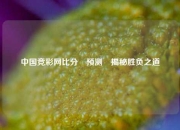 中国竞彩网比分⚽预测⚽揭秘胜负之道
