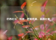 巴西比分⚽预测⚾把握胜算，赢得比赛