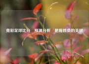 竟彩足球比分⚽预测分析⚽把握胜负的关键