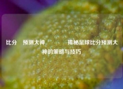 比分⚽预测大神👈揭秘足球比分预测大神的策略与技巧