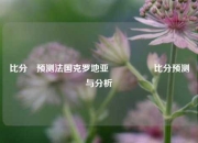 比分⚽预测法国克罗地亚🎖️比分预测与分析