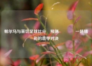 帕尔马与莱切足球比分⚽预测🏐一场精彩的意甲对决