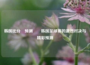 韩国比分⚽预测✌️韩国足球赛的激烈对决与精彩预测
