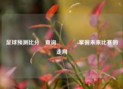 足球预测比分⚽查询🏀掌握未来比赛的走向