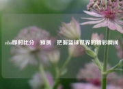 nba即时比分⚽预测⚽把握篮球世界的精彩瞬间