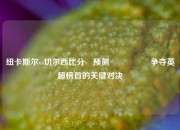 纽卡斯尔vs切尔西比分⚽预测🎖️争夺英超榜首的关键对决
