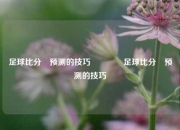 足球比分⚽预测的技巧🥇足球比分⚽预测的技巧