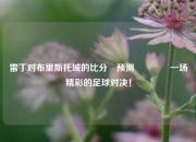 雷丁对布里斯托城的比分⚽预测🏐一场精彩的足球对决！
