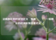 法国和比利时足球比分⚽预测🏐一场精彩的欧洲杯预选赛对决